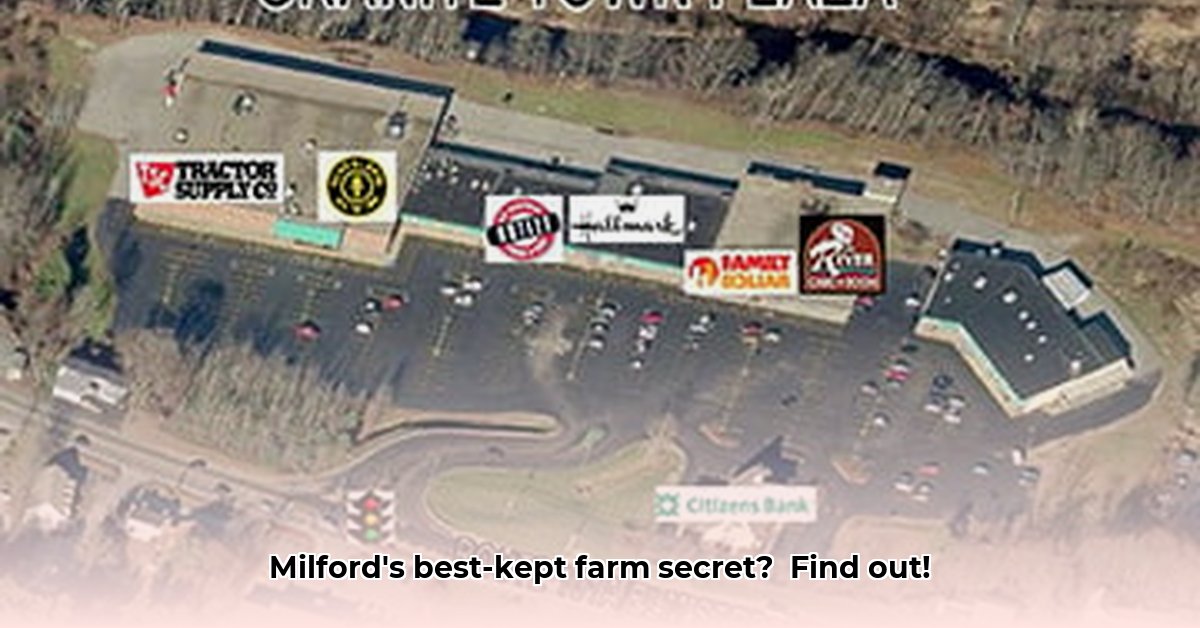 milford-nh-tractor-supply